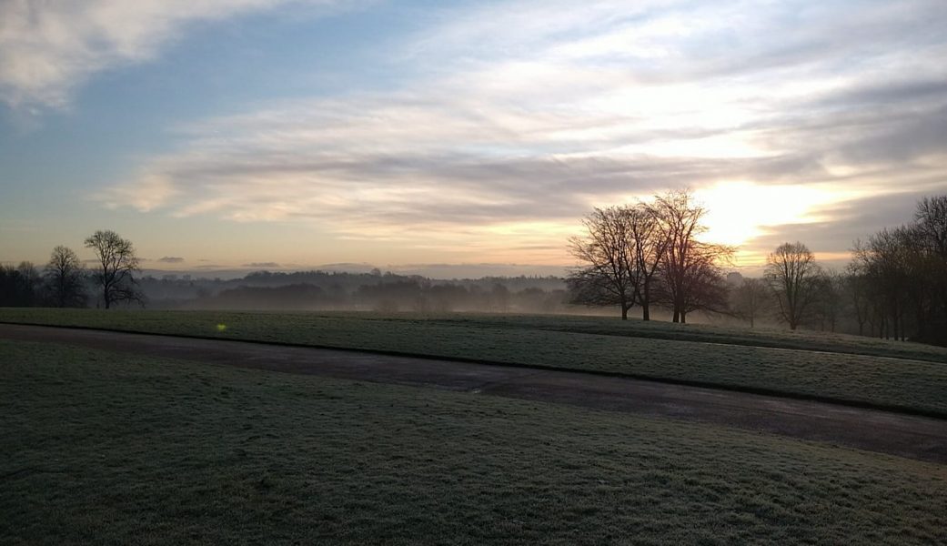 Grass and trees at Heaton Park