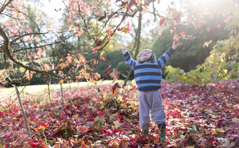 A small child playing in the fallen leaves