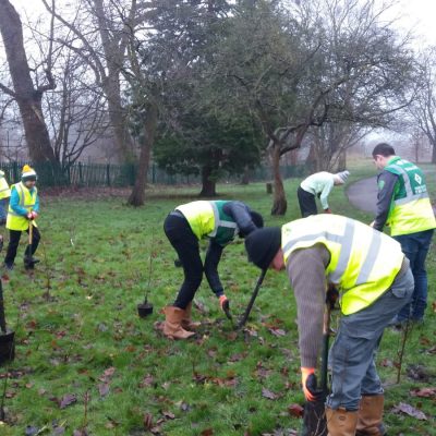 Chorlton Park Friends Group tree planting in the park