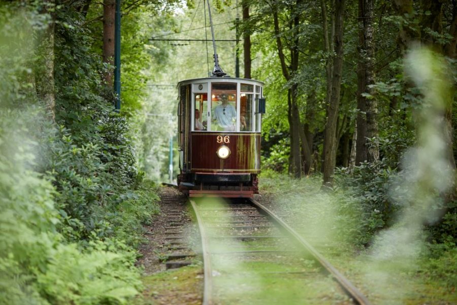 A tram rides through the tree-lines tramway in Heaton Park.