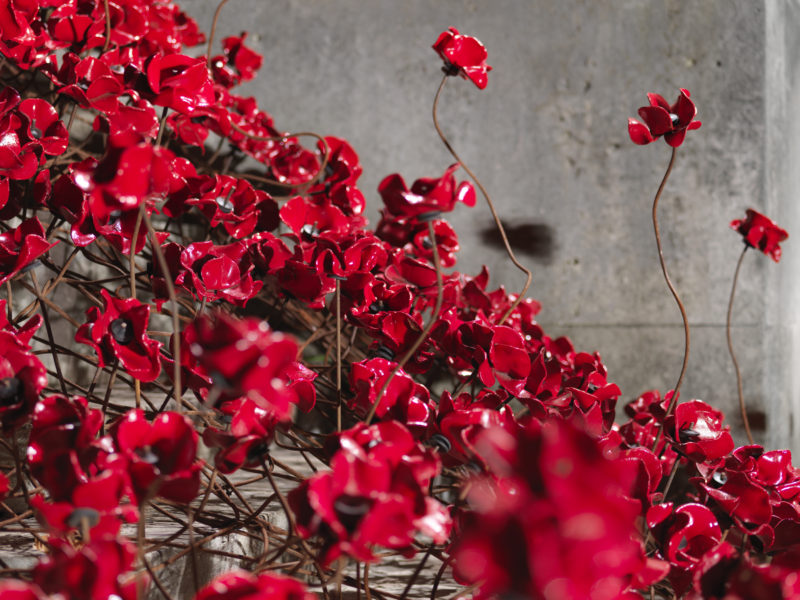 A collection of red ceramic poppies