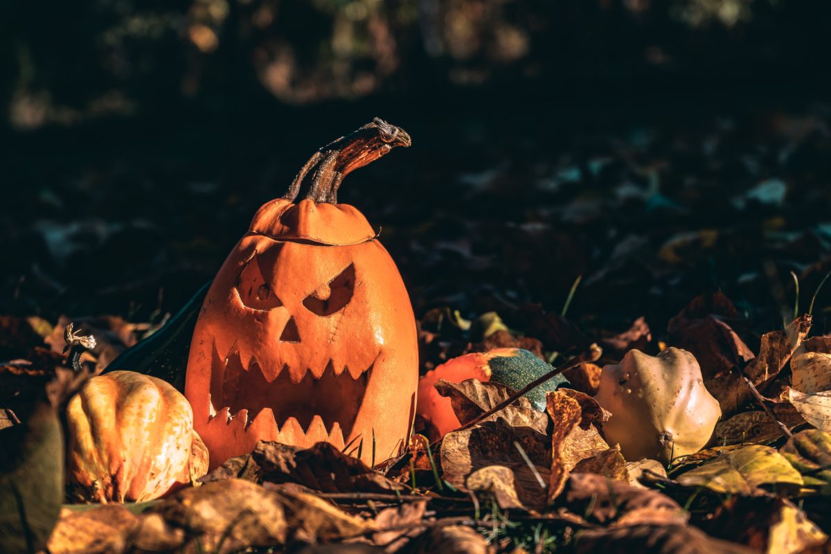 A carved pumpkin sits on a bed of leaves in a park.
