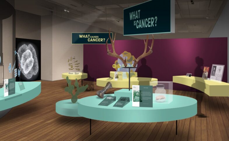 A display in a museum with two signs above reading 'What is cancer?' and 'What causes cancer?'.
