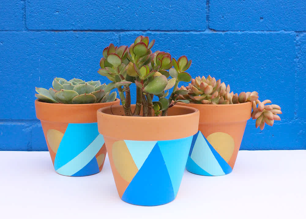 Three brightly patterned blue plant pots with plants growing in them.