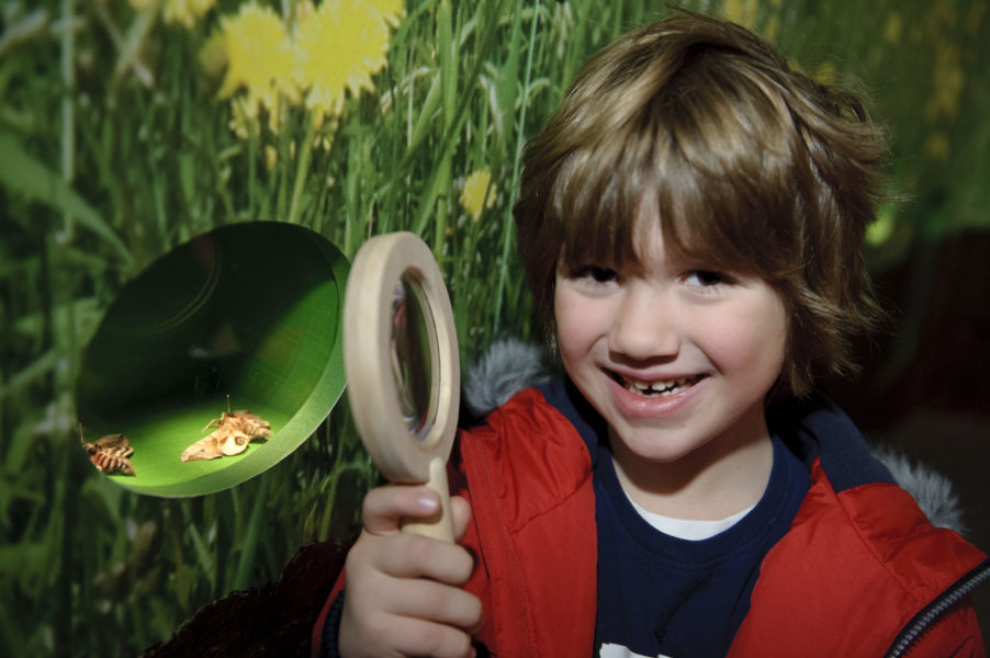 A child in a red gilet holds a magnifying glass