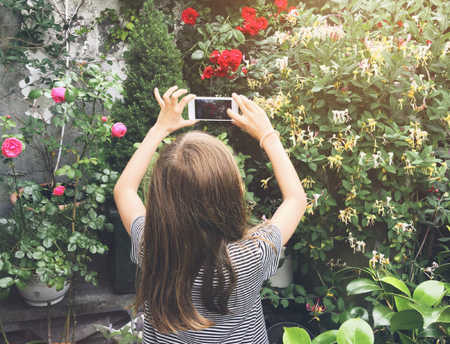 A small child stands in a garden holding a phone up